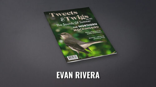 Evan Rivera's Magazine cover, Tweets and Twigs